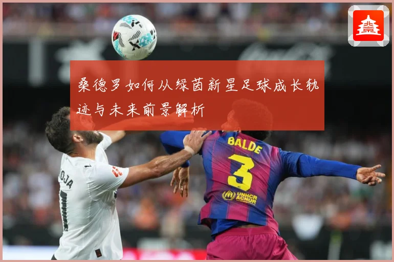 桑德罗如何从绿茵新星足球成长轨迹与未来前景解析