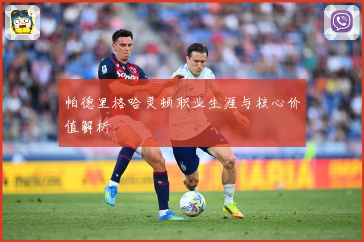 帕德里格哈灵顿职业生涯与核心价值解析