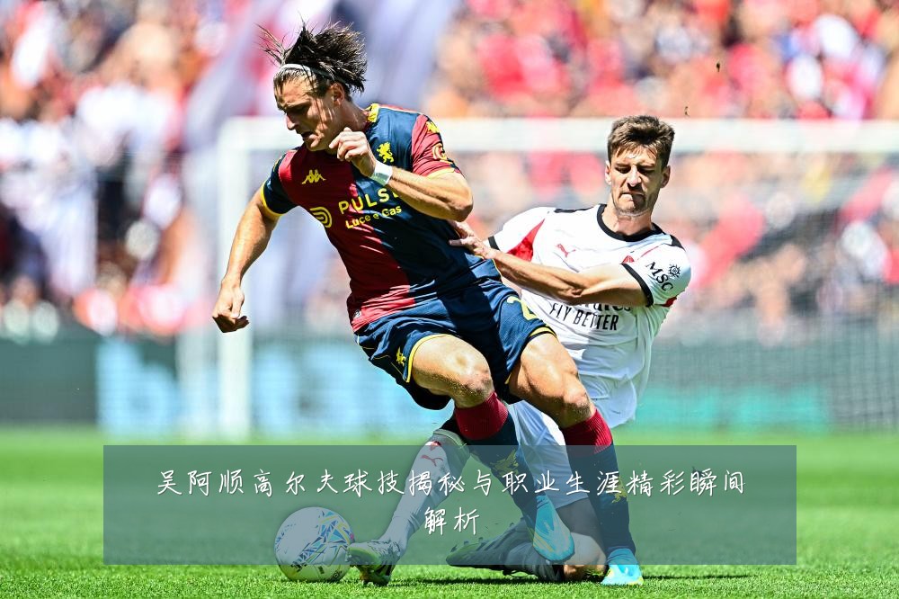 吴阿顺高尔夫球技揭秘与职业生涯精彩瞬间解析