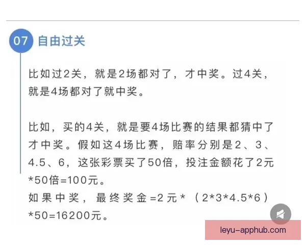 体育竞猜赔率分析与预测技巧深度解析，助你把握赢利机会
